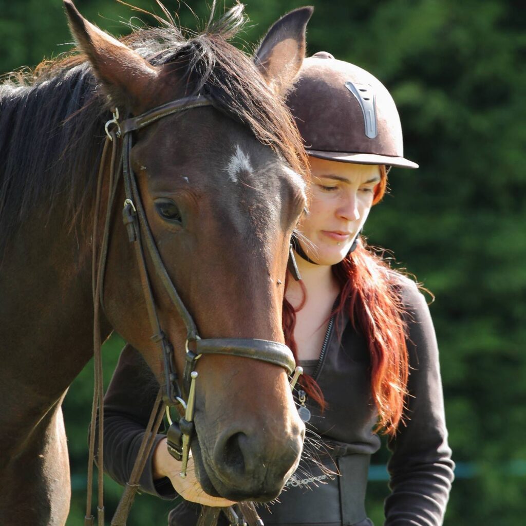 rédactrice web cheval équestre storytelling plus beau cheval du monde
